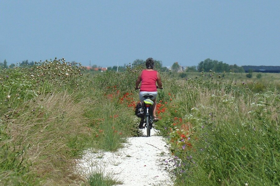 Camping L'Île Cariot