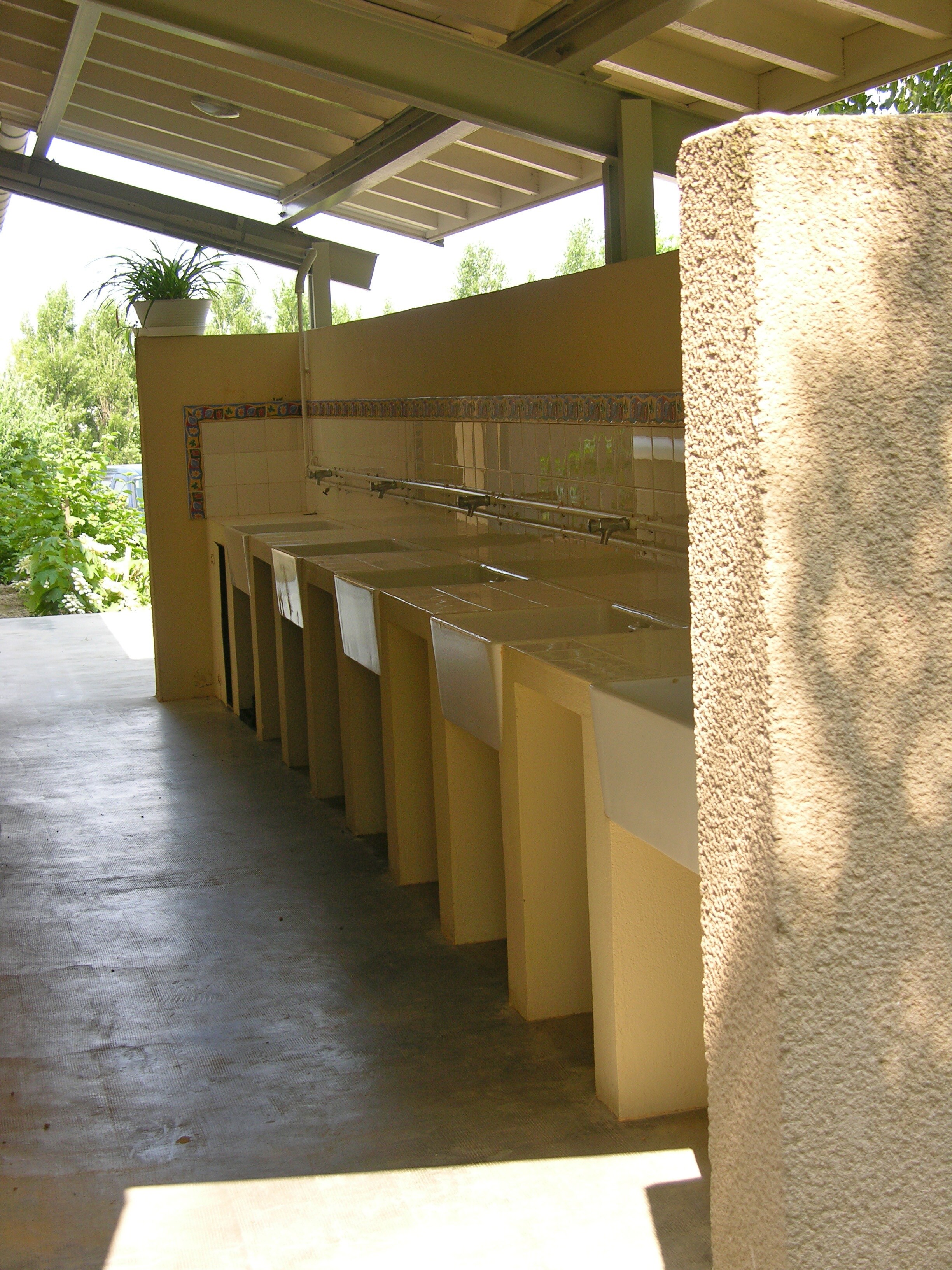 Flower Camping St. Martin