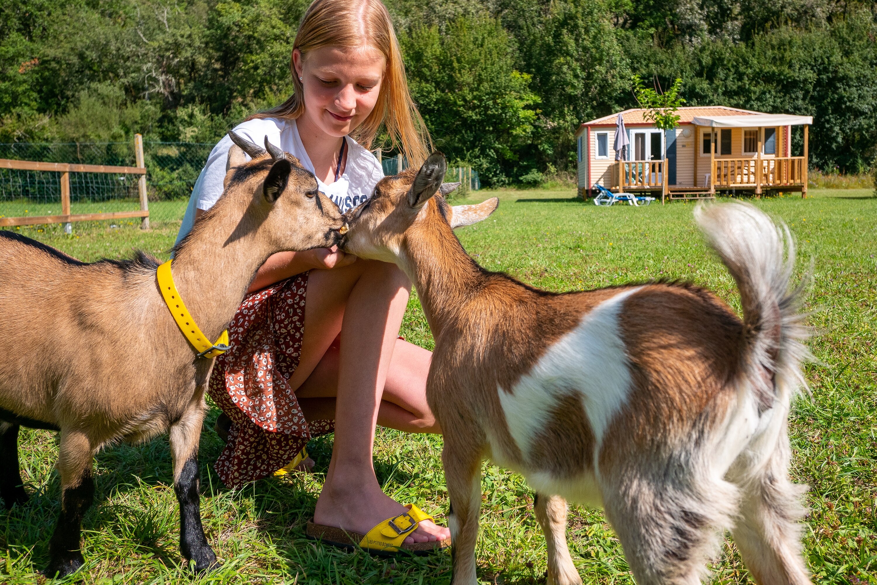 Camping Le Moulin du Bel-Air