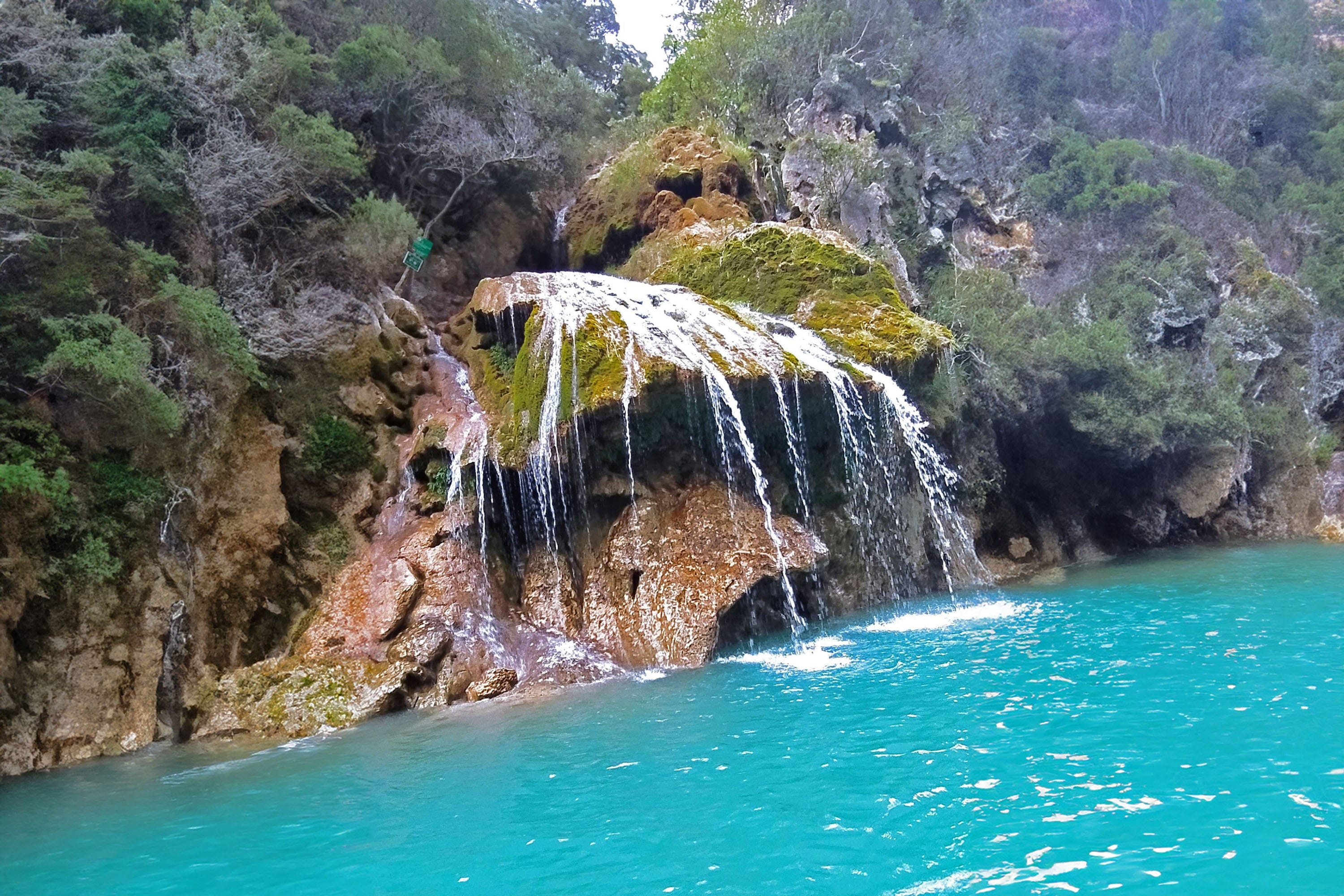 Flower Camping La Rivière