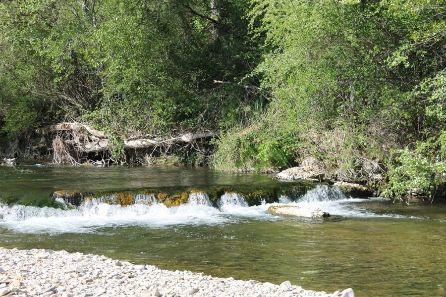 Flower Camping La Rivière
