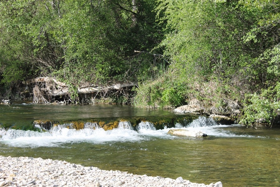 Flower Camping La Rivière