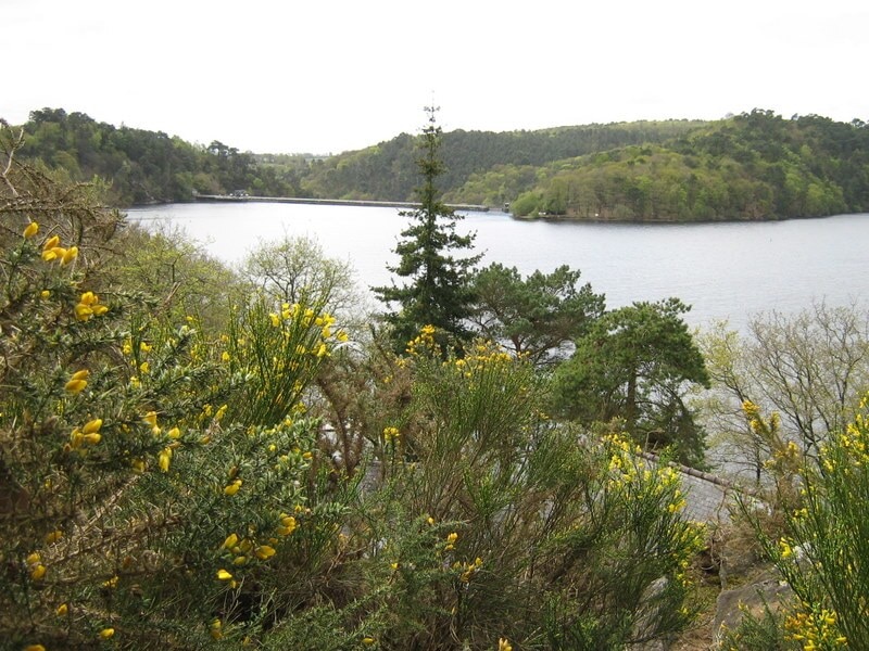 Camping Le Point de Vue de Guerlédan