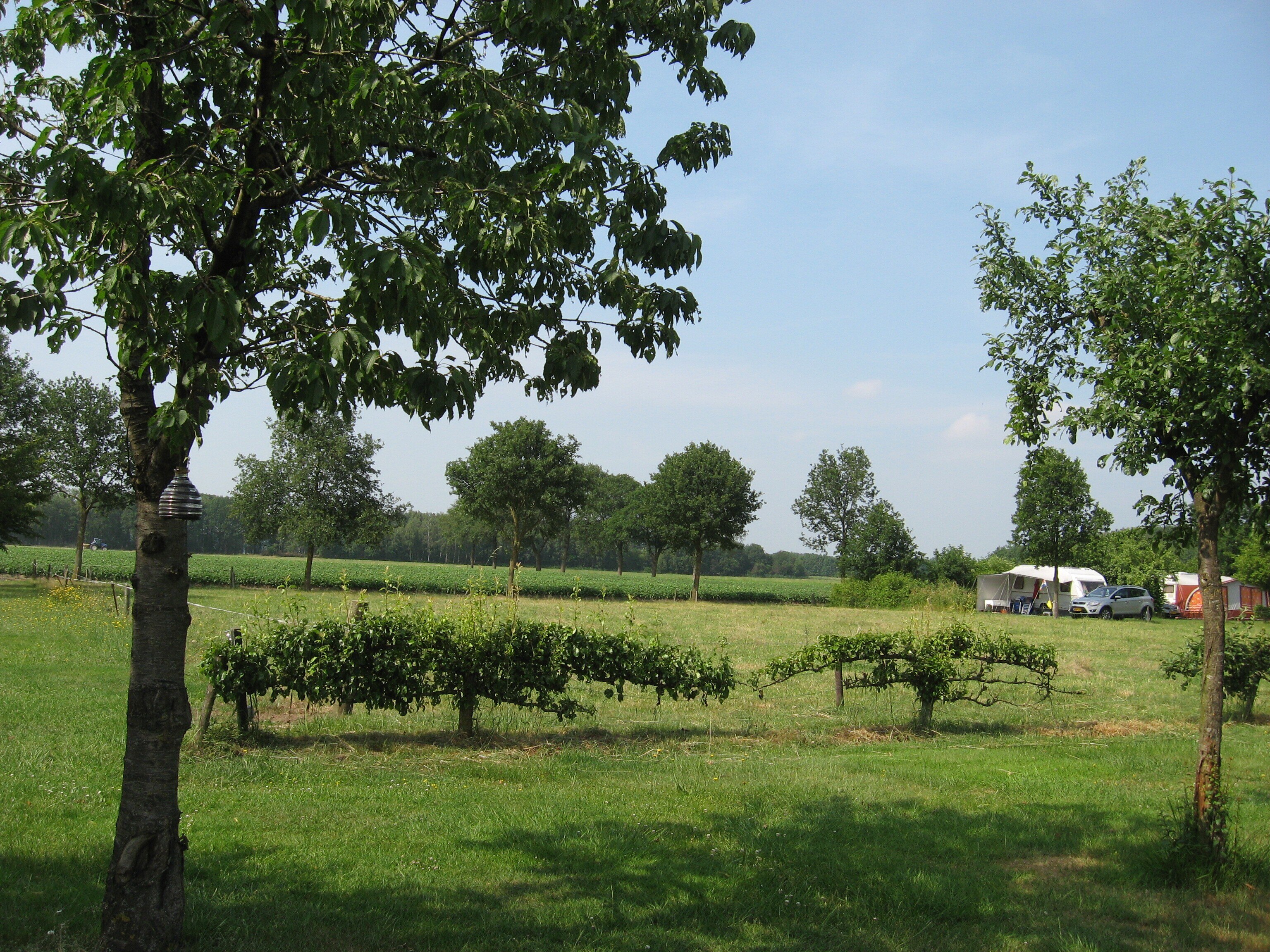 Camping De Ganzenhof