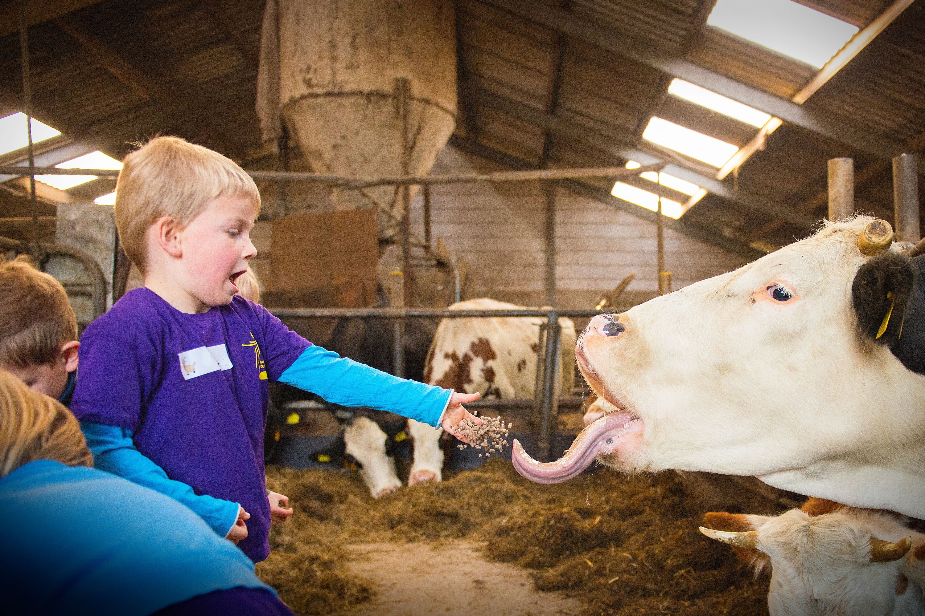 Camping Boerderij de Boterbloem