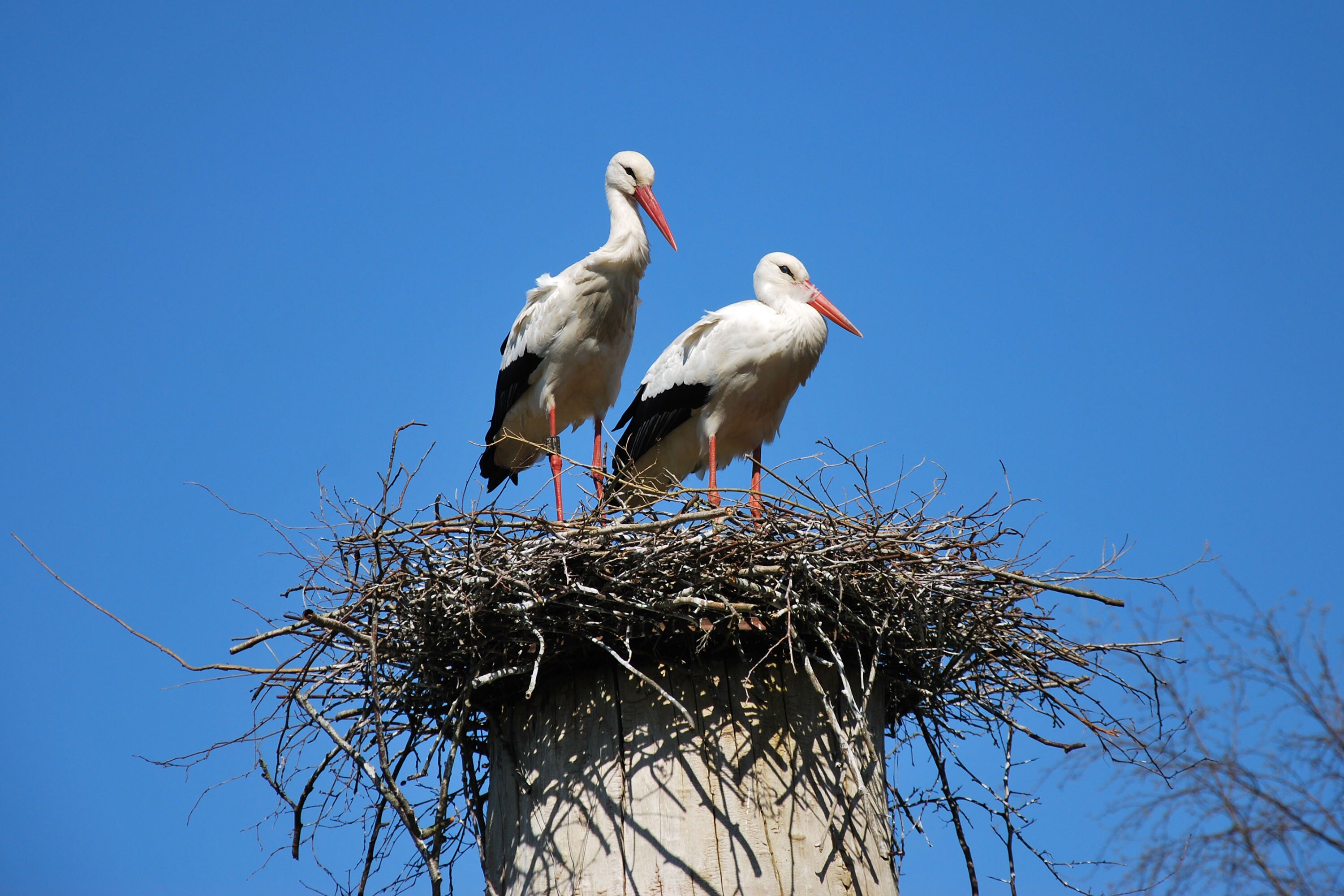Vakantiepark De Toffe Peer