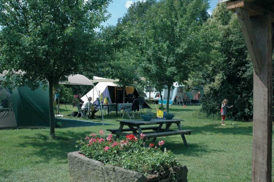 Boerencamping Remmelink