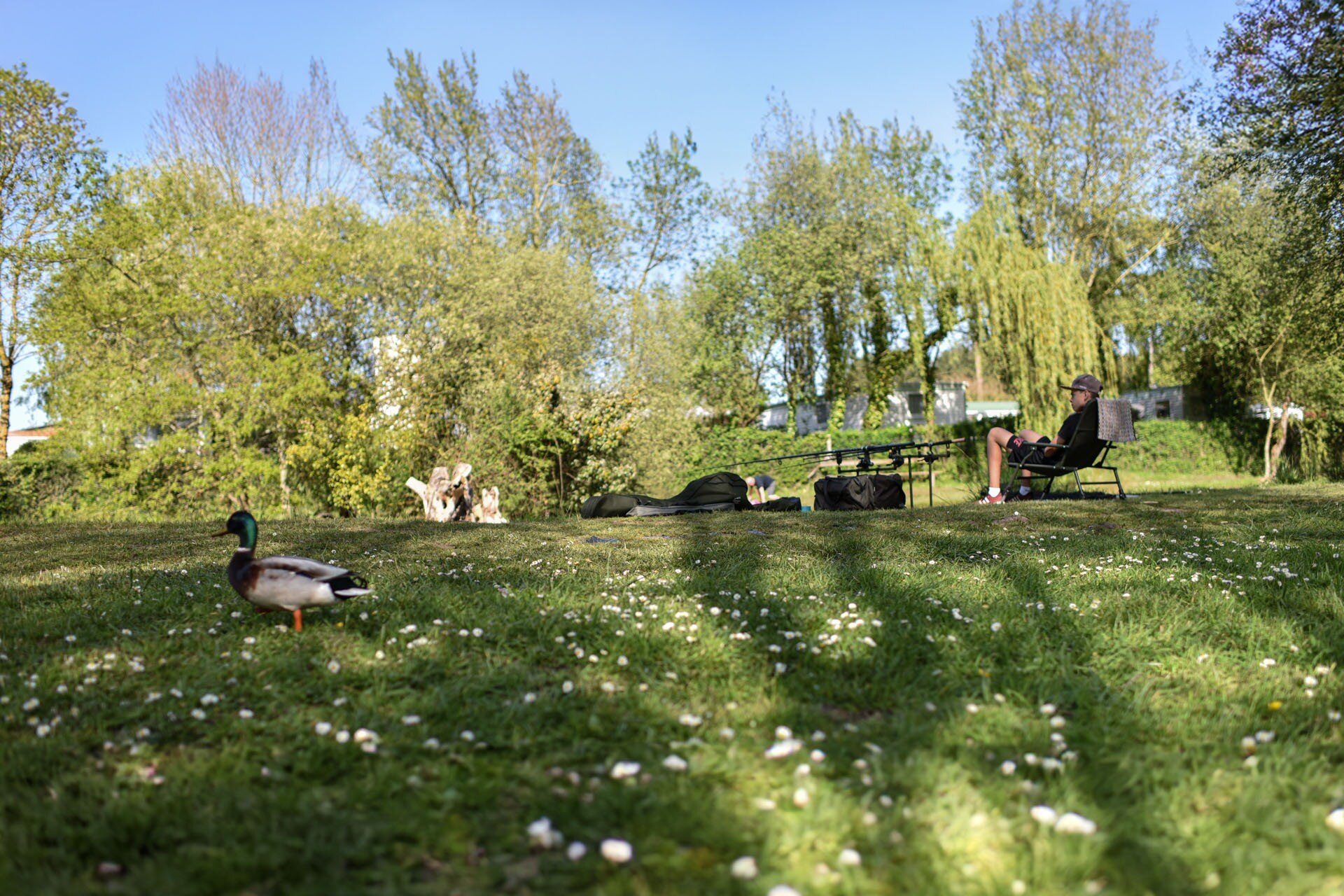 Camping Paradis Domaine de Bellevue