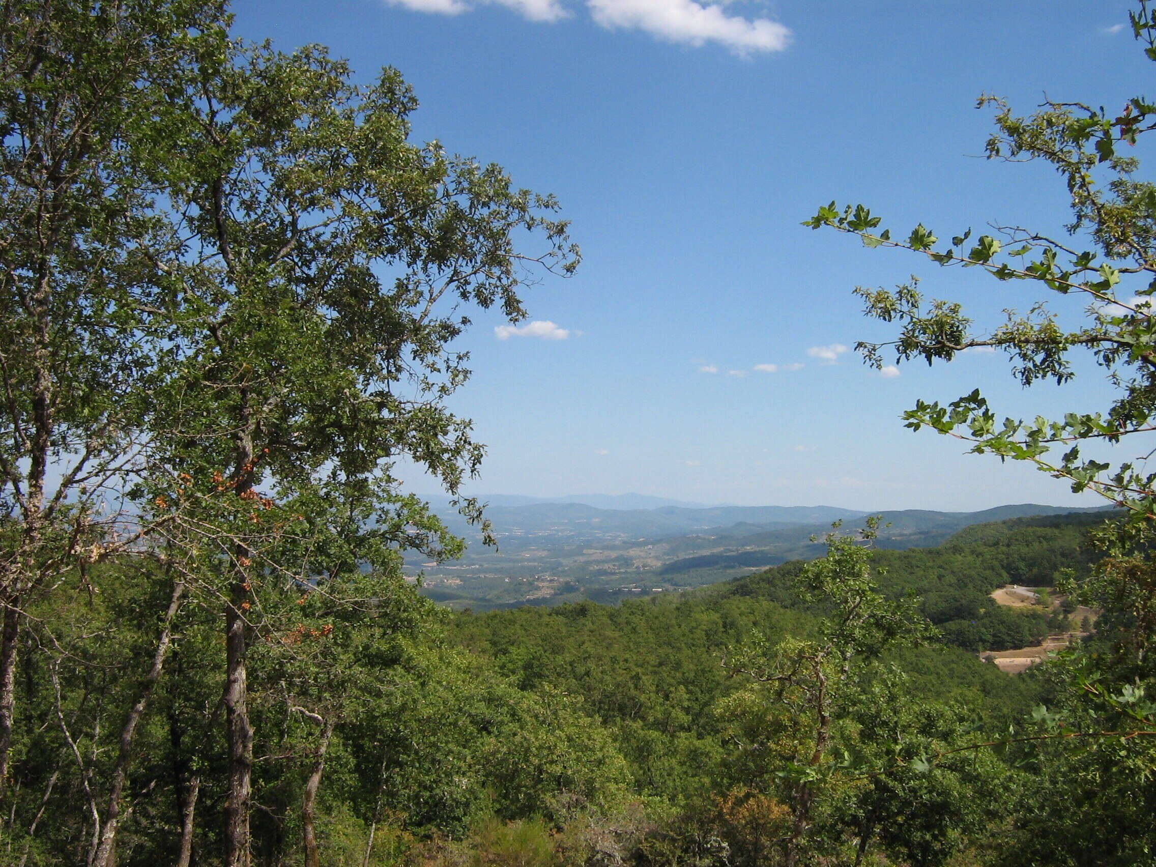 Chianti Glamping Resort