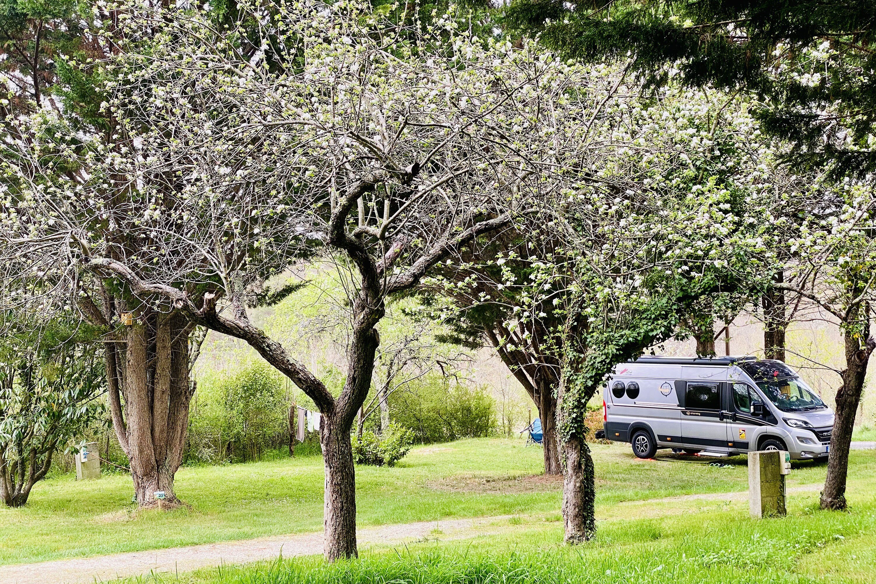 Flower Camping La Pibola