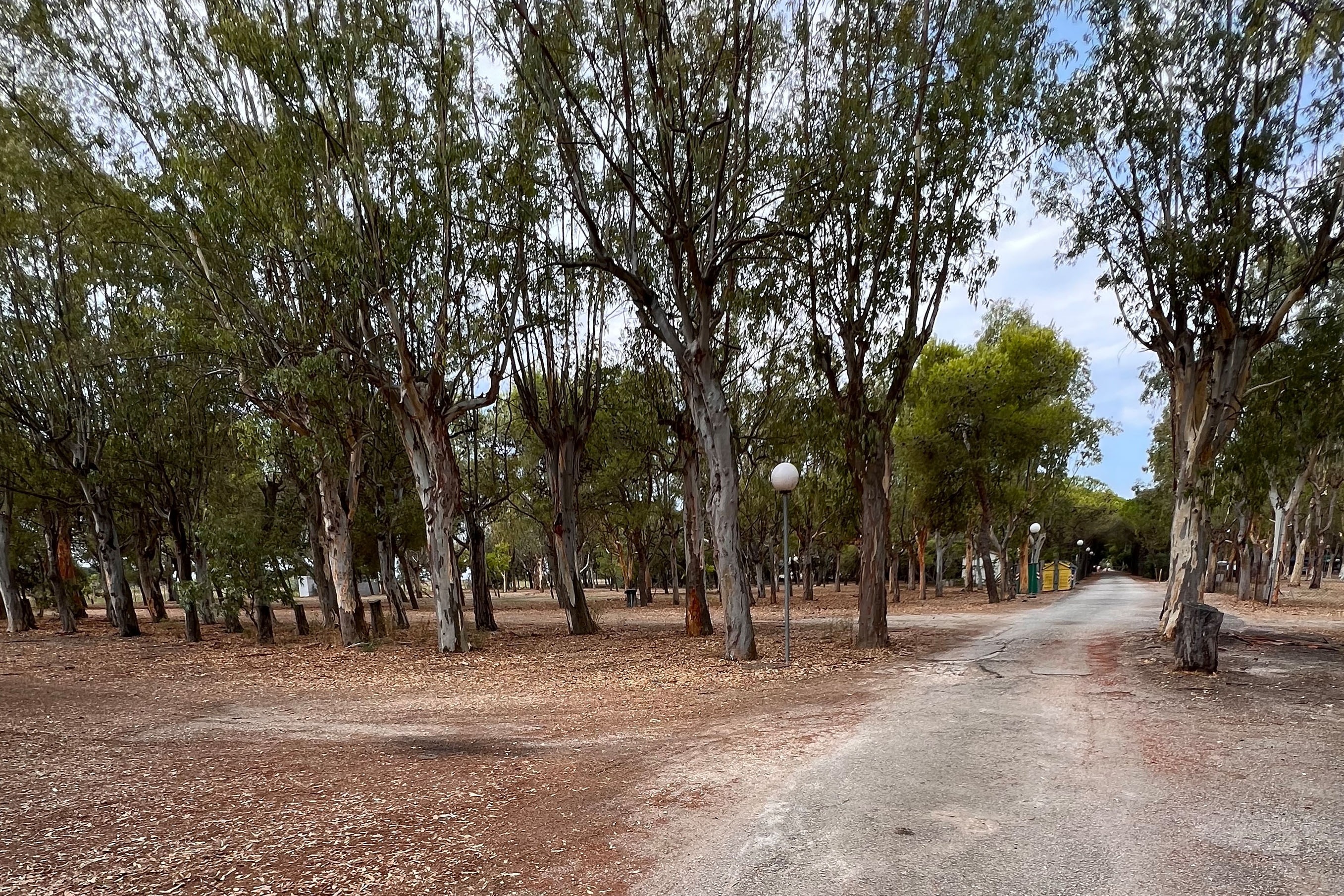 Camping Lido Tellina