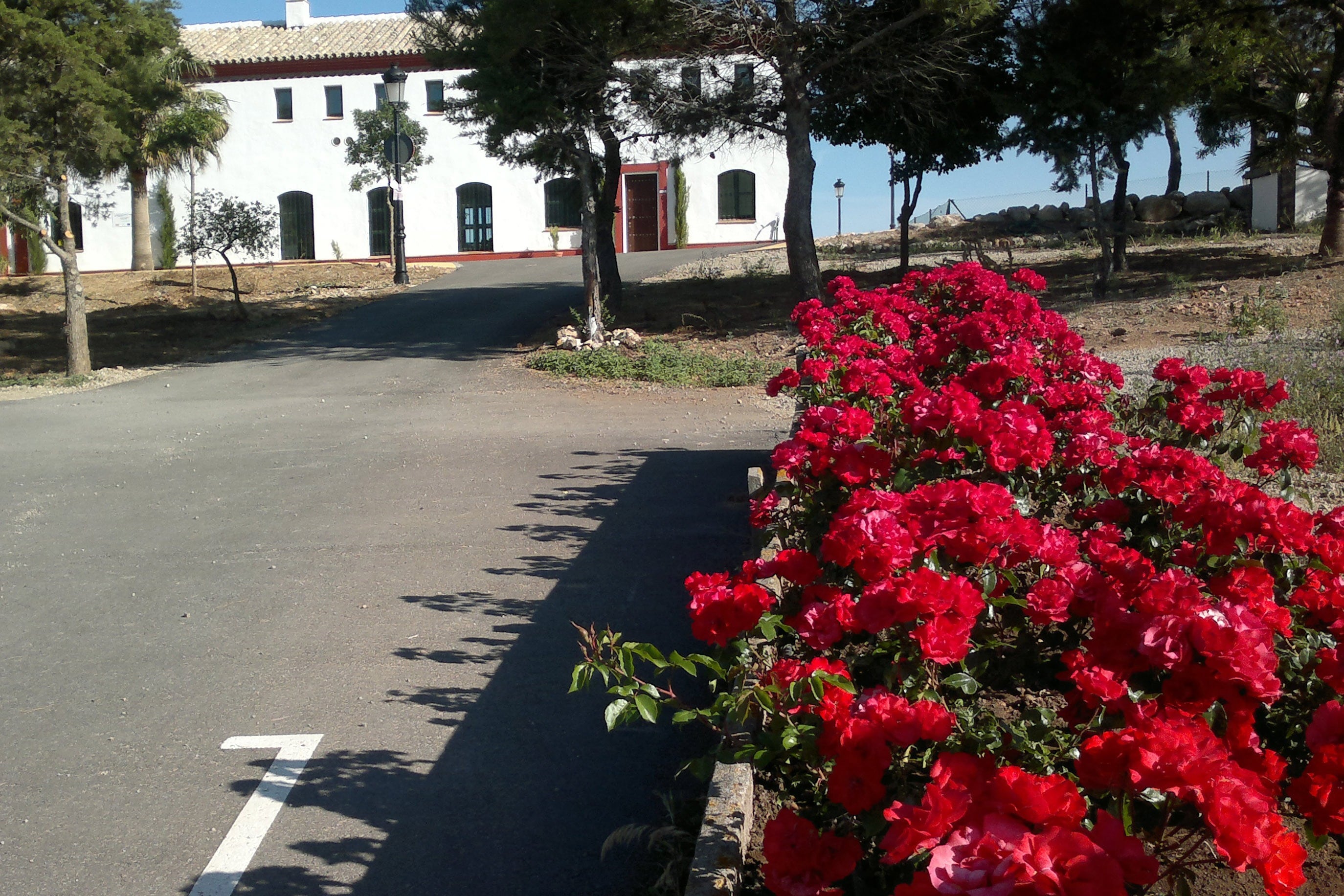 Camping Pueblo Blanco