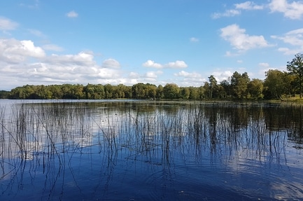 Camping Den Sovande Älgen