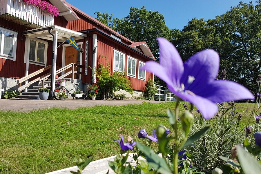 Camping Den Sovande Älgen