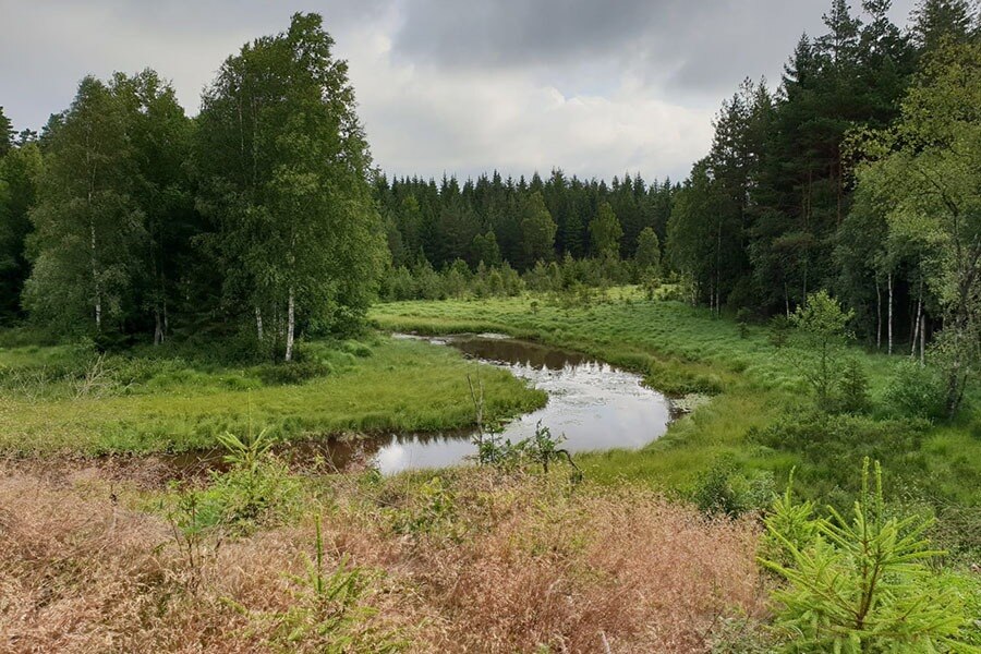 Camping Den Sovande Älgen