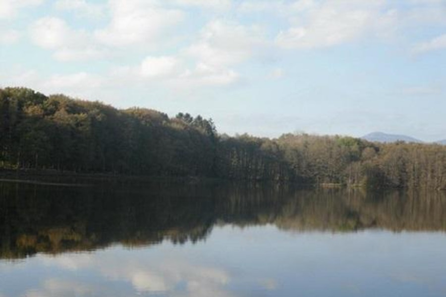 Flower Camping du Lac de la Seigneurie