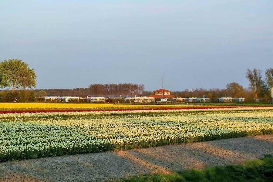 Landschapscamping de Kolibrie
