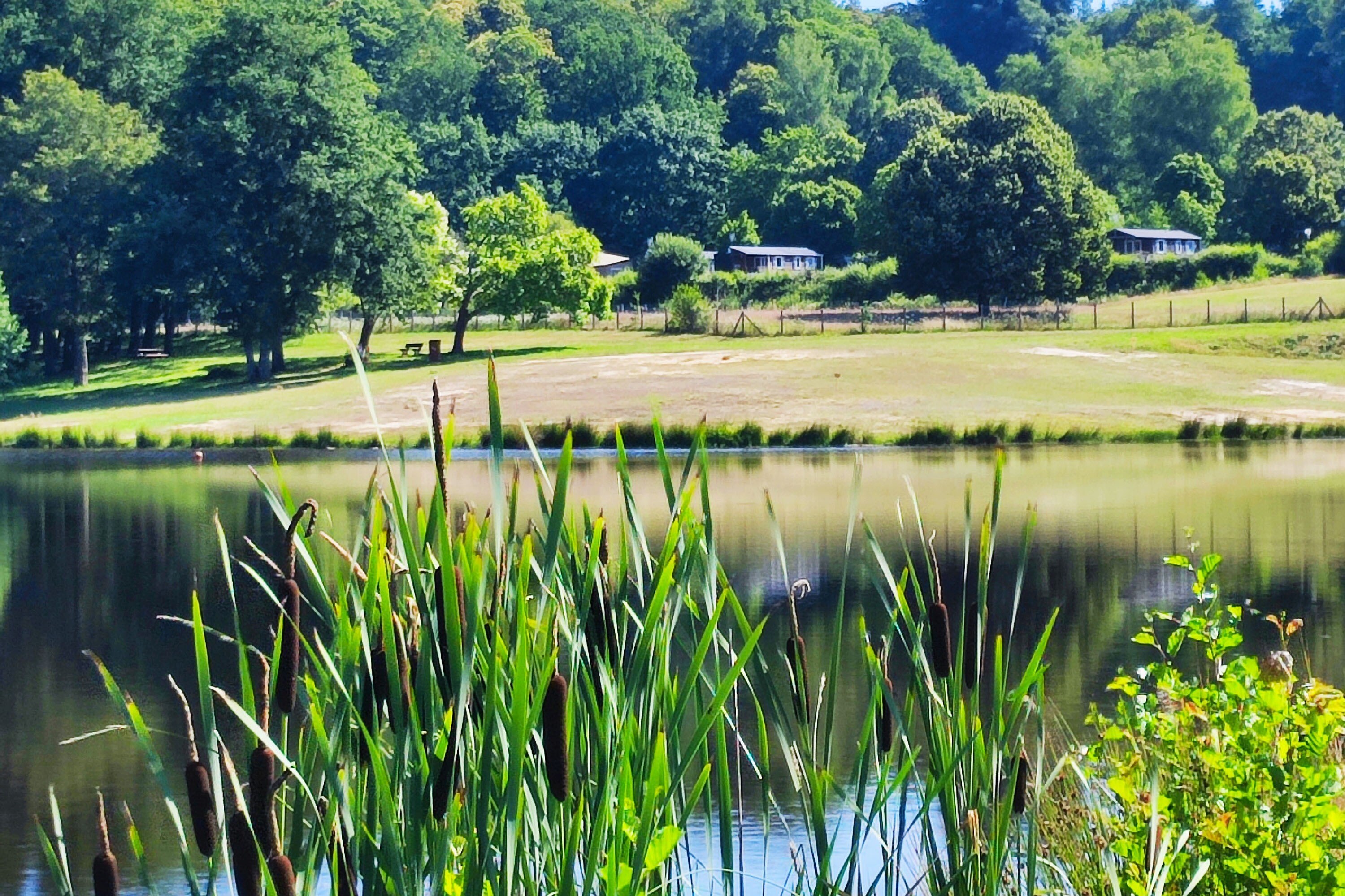 Camping L'Ecrin Nature