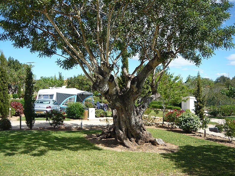 Camping Paradis L'Orangeraie