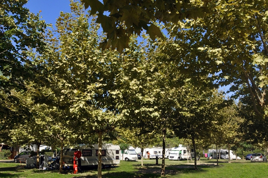 Camping La Petite Motte