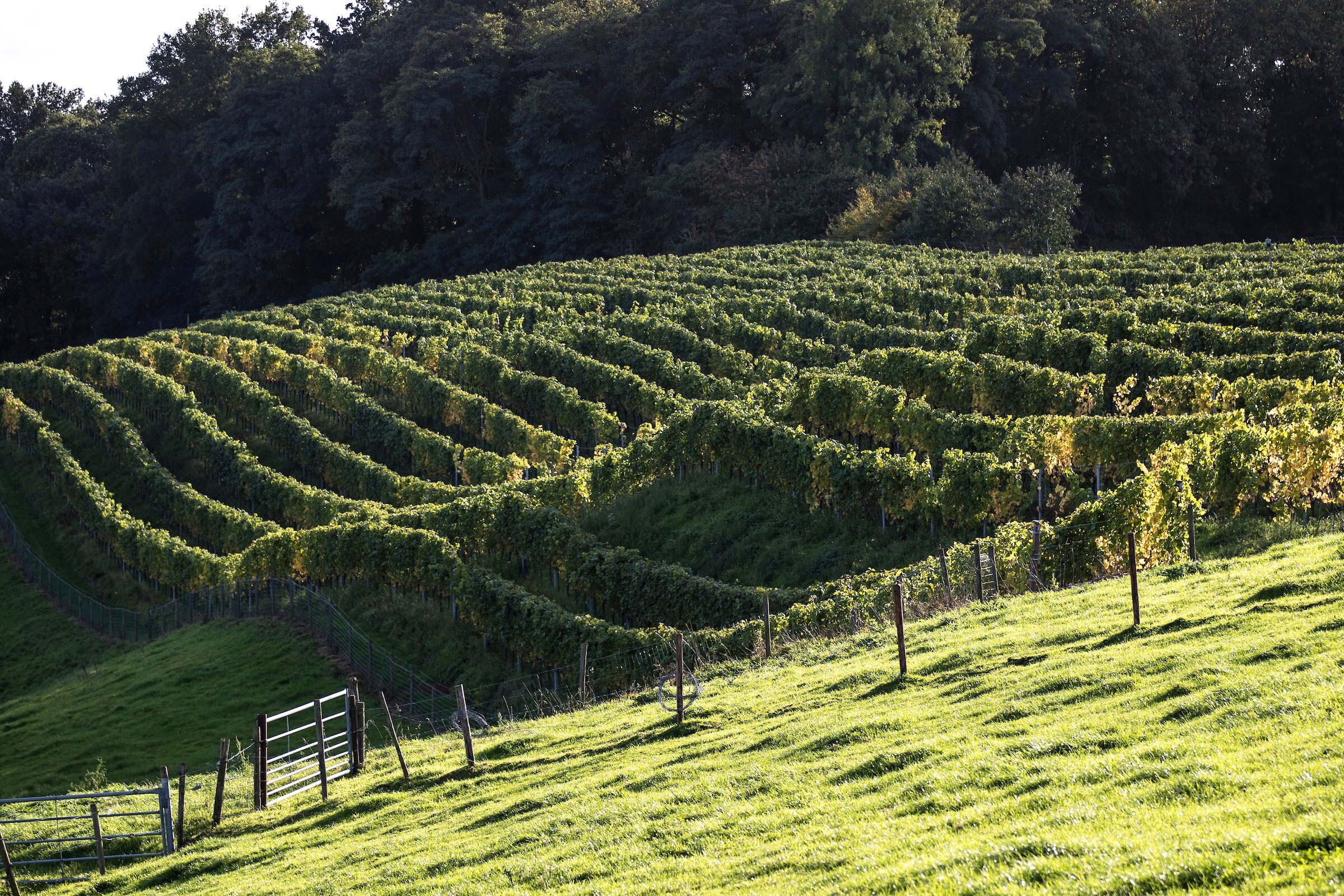 Ardoer Camping 't Geuldal