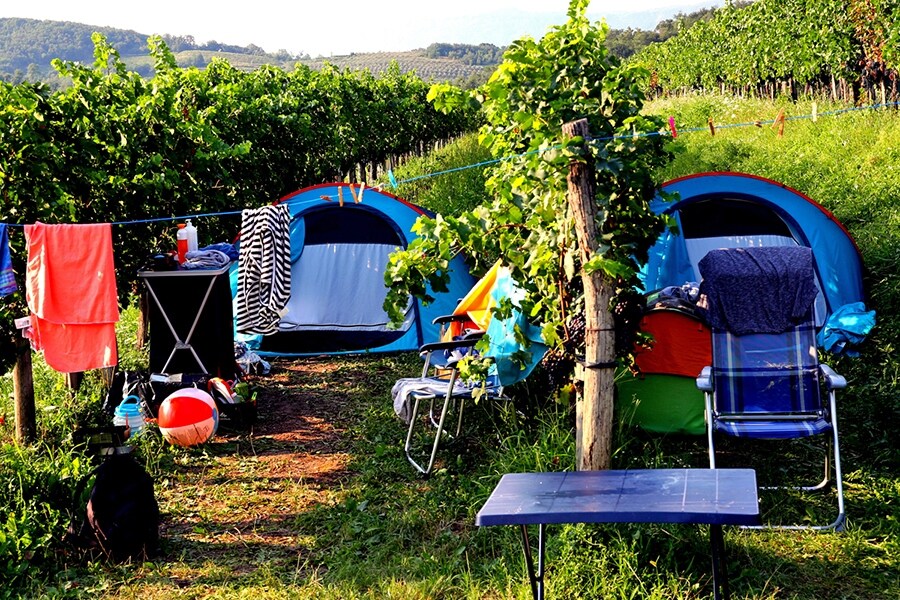 Saksida Wine and Camping Resort