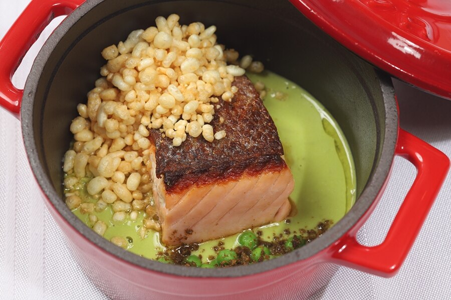 Saksida Wine and Camping Resort