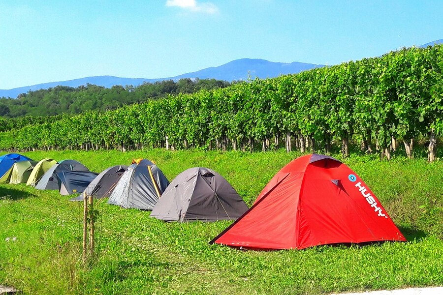 Saksida Wine and Camping Resort