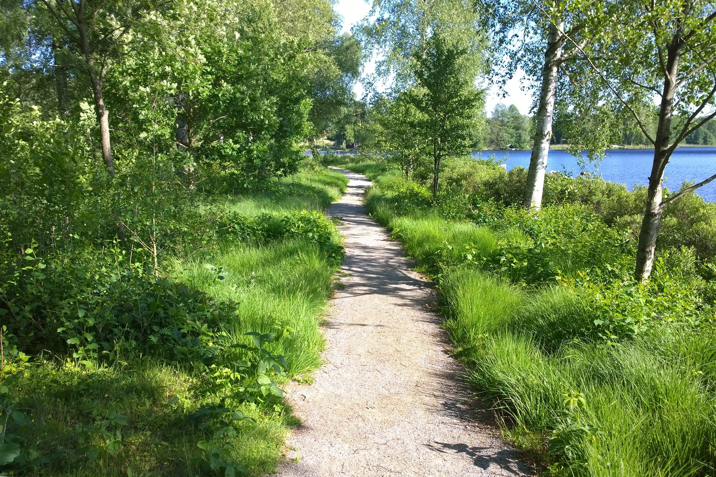 Långasjönäs Camping & Stugby