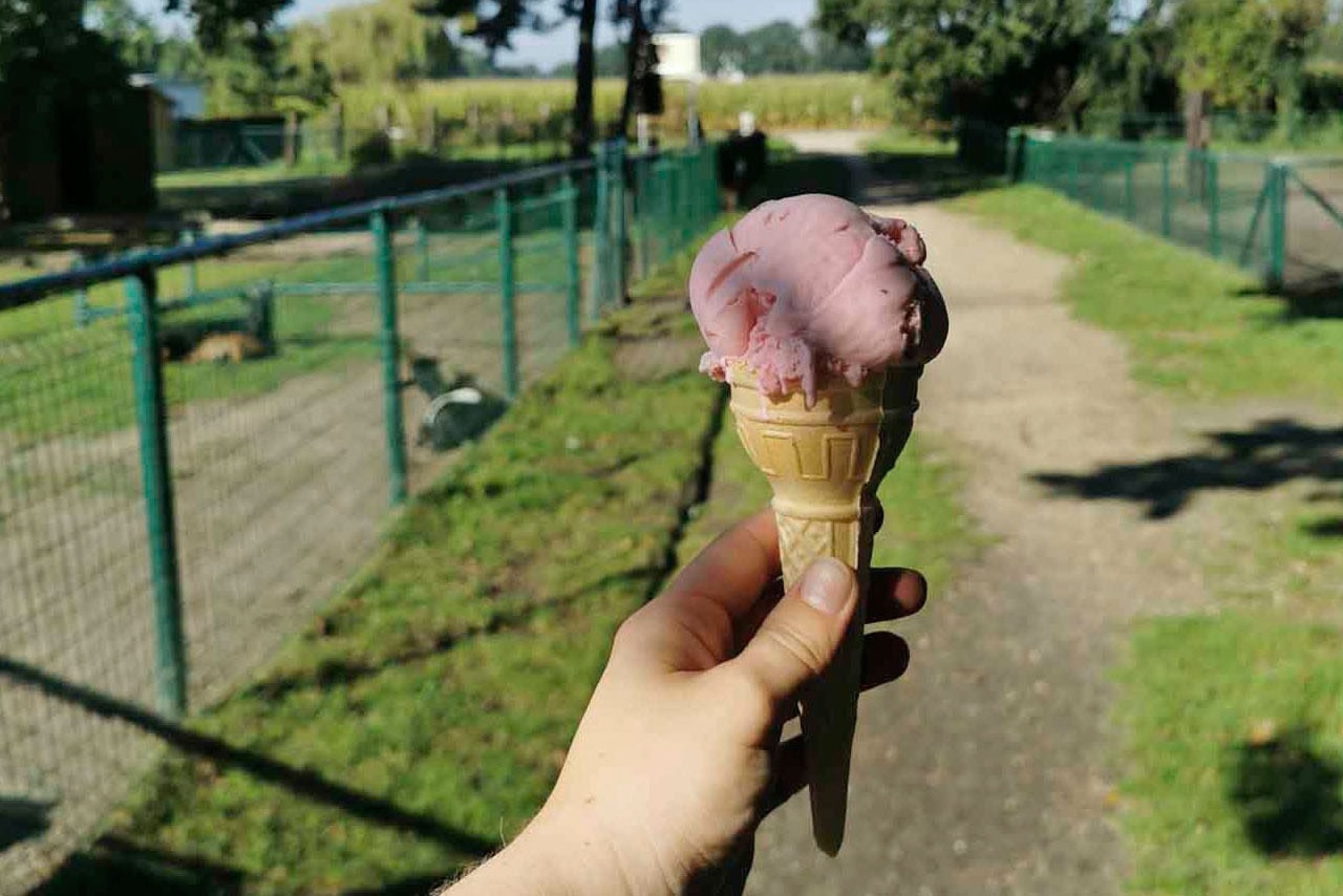 Camping Domein De Schuur