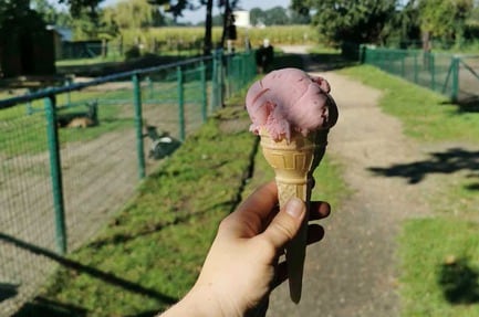 Camping Domein De Schuur