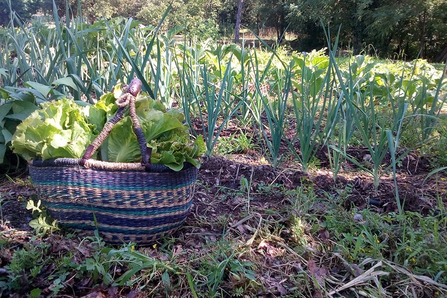 Camping Agrituristico Carso