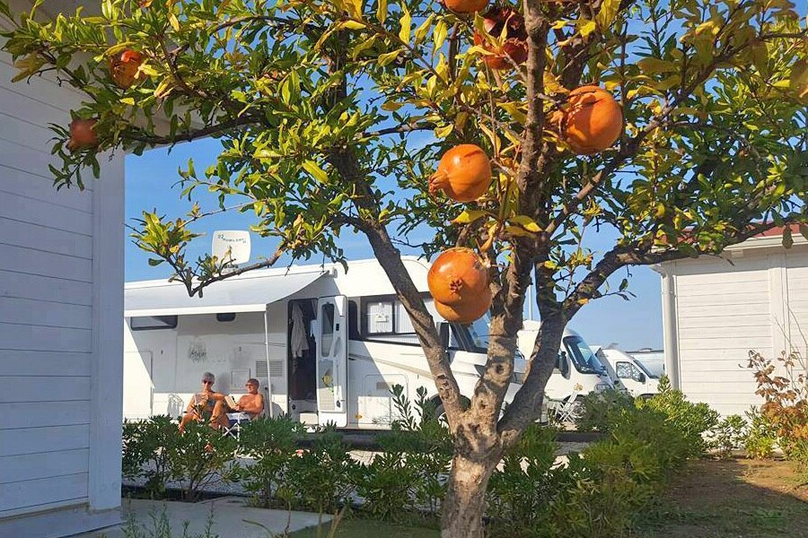 Agricampeggio Alessandra