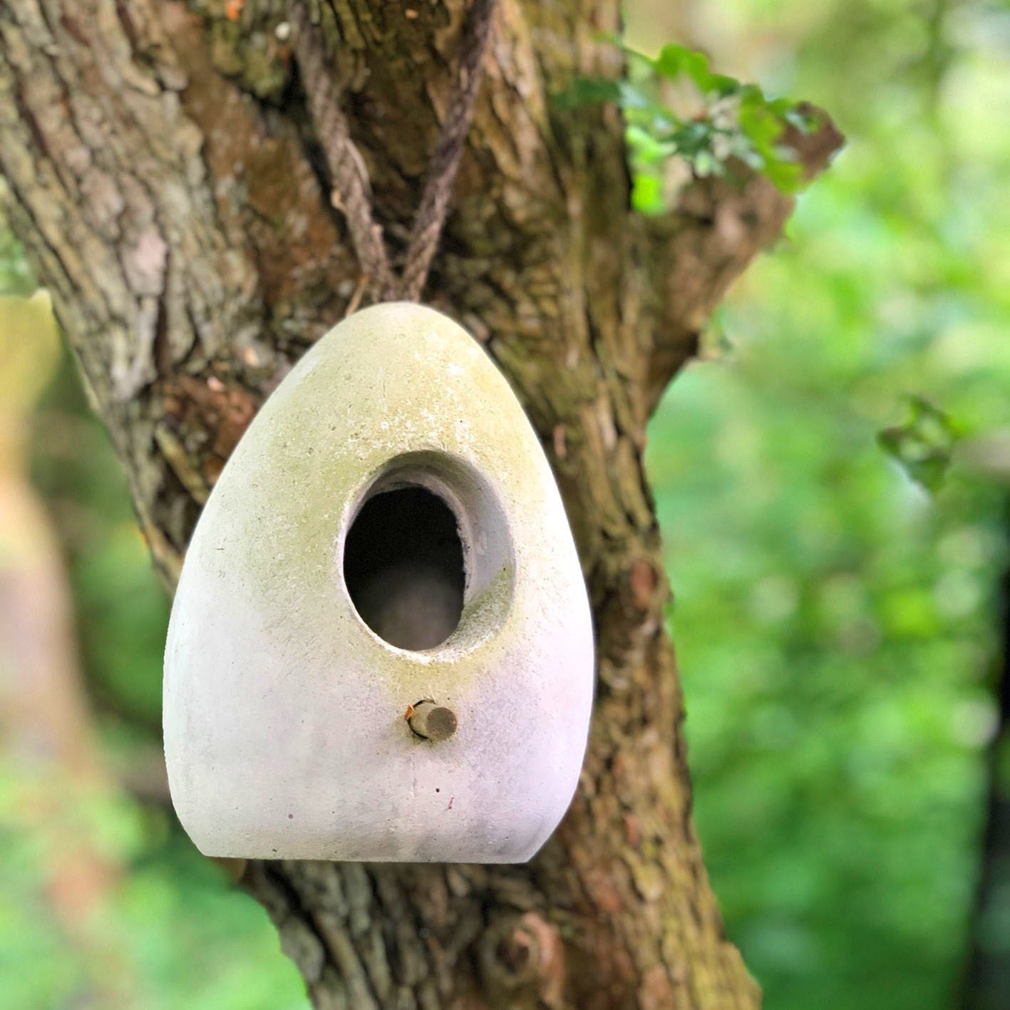 Buytenplaets Suydersee