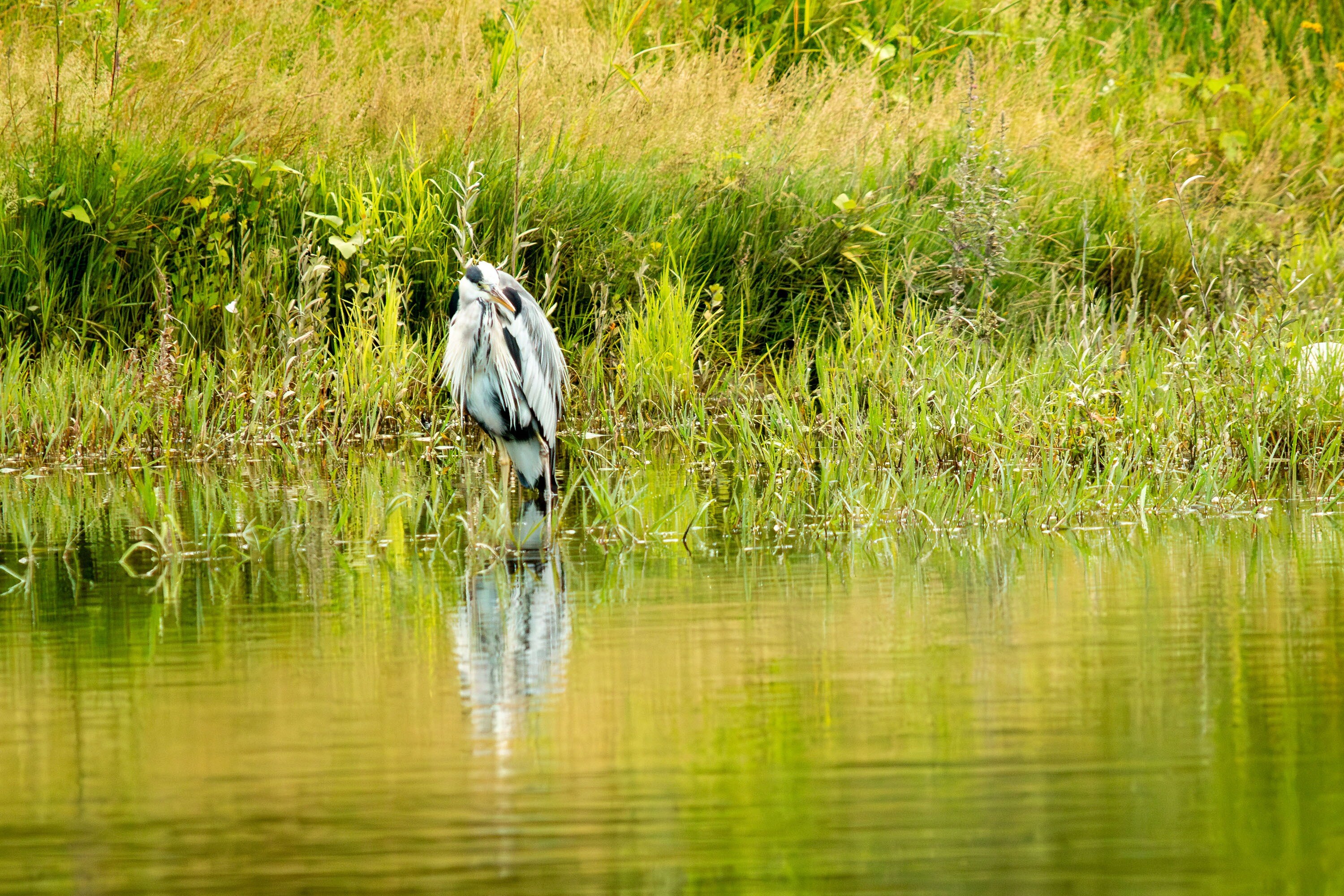 Camping Le Coin Charmant