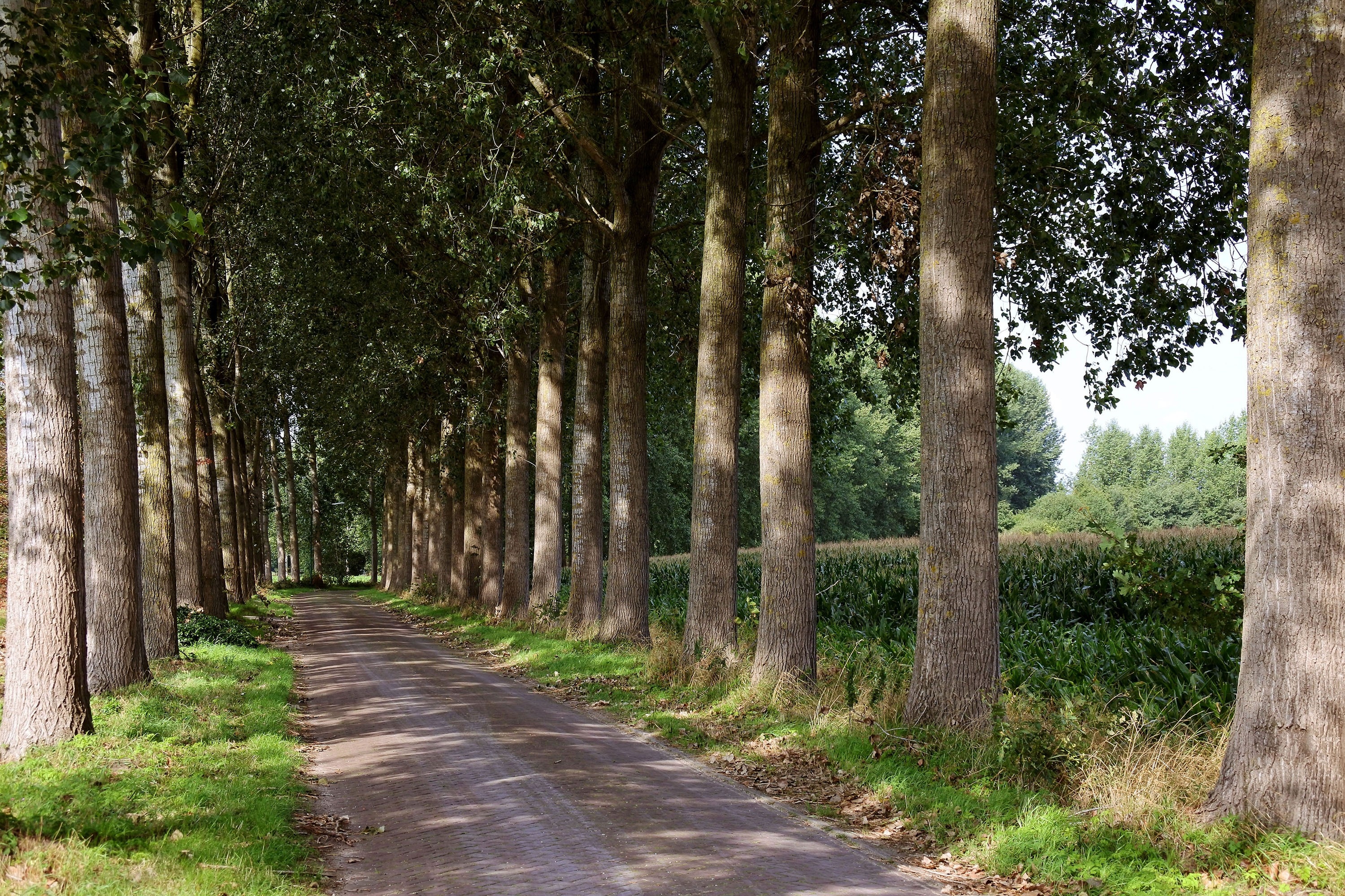 Camping den Goeiendonk