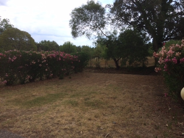 Camping Parc De Bormes