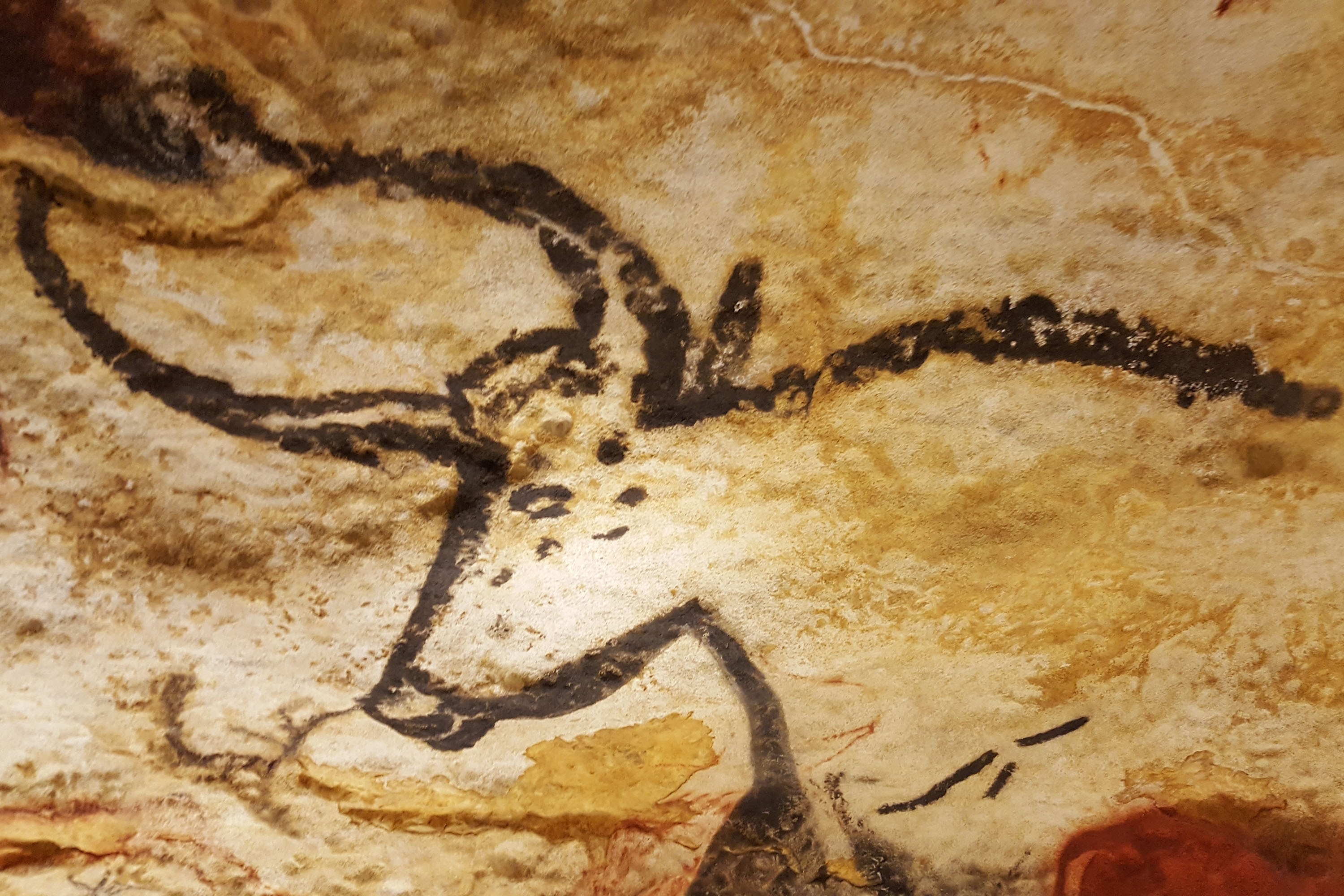 Camping Le Verdoyant