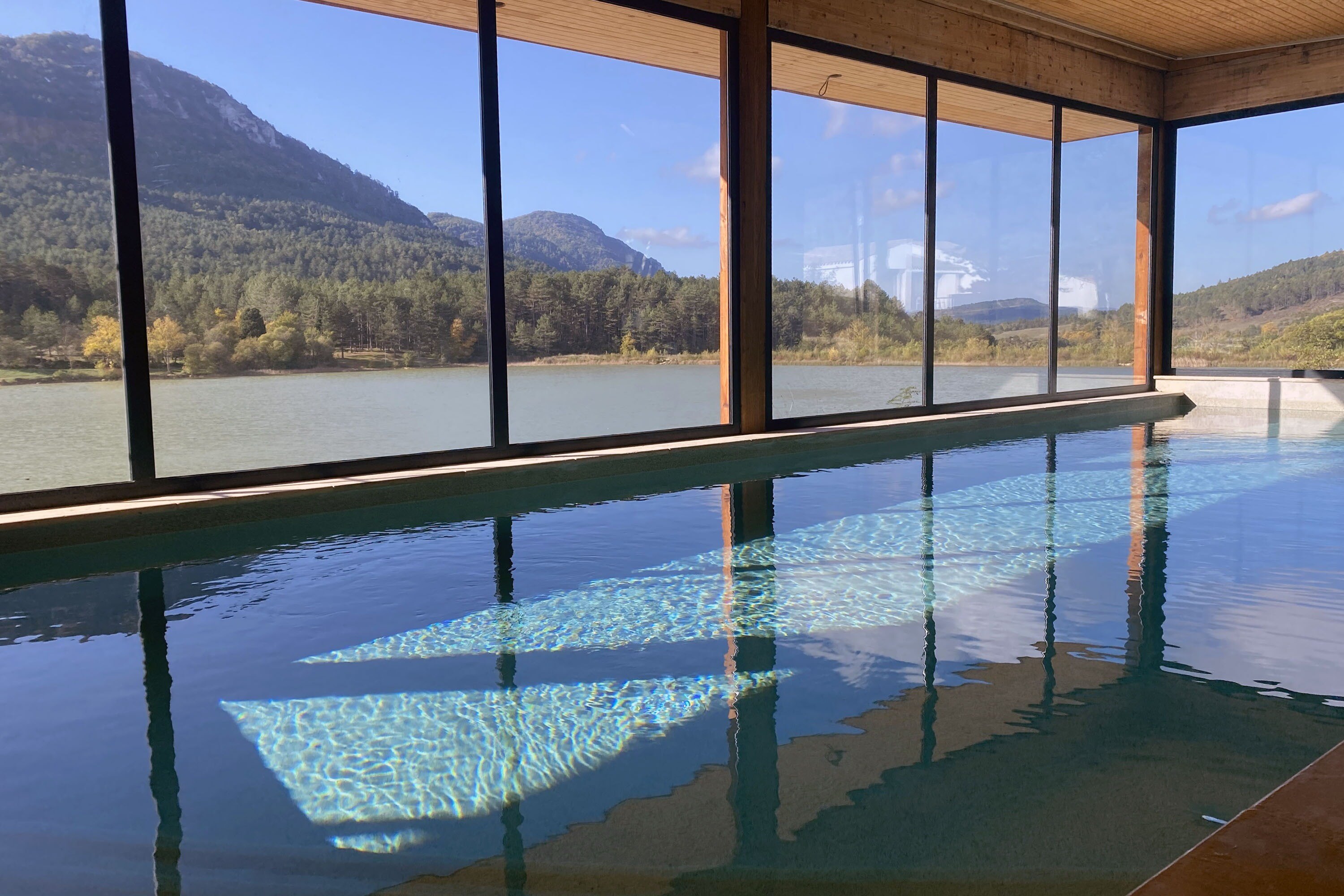 Flower Camping Innature