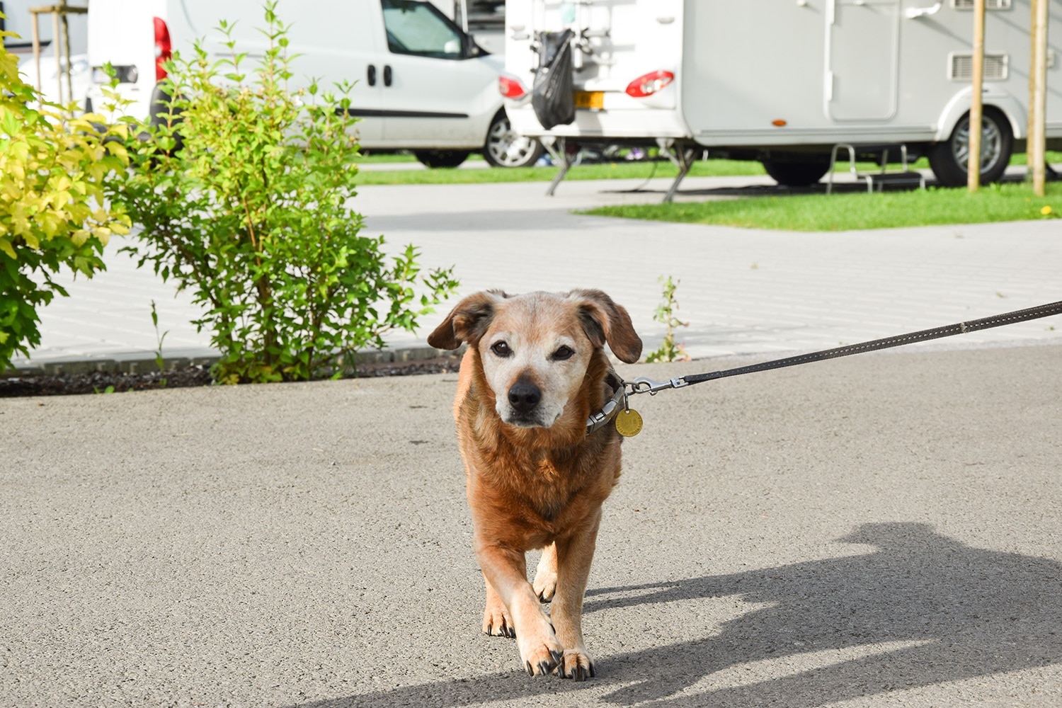 Genuss-Camping Bad Gleichenberg