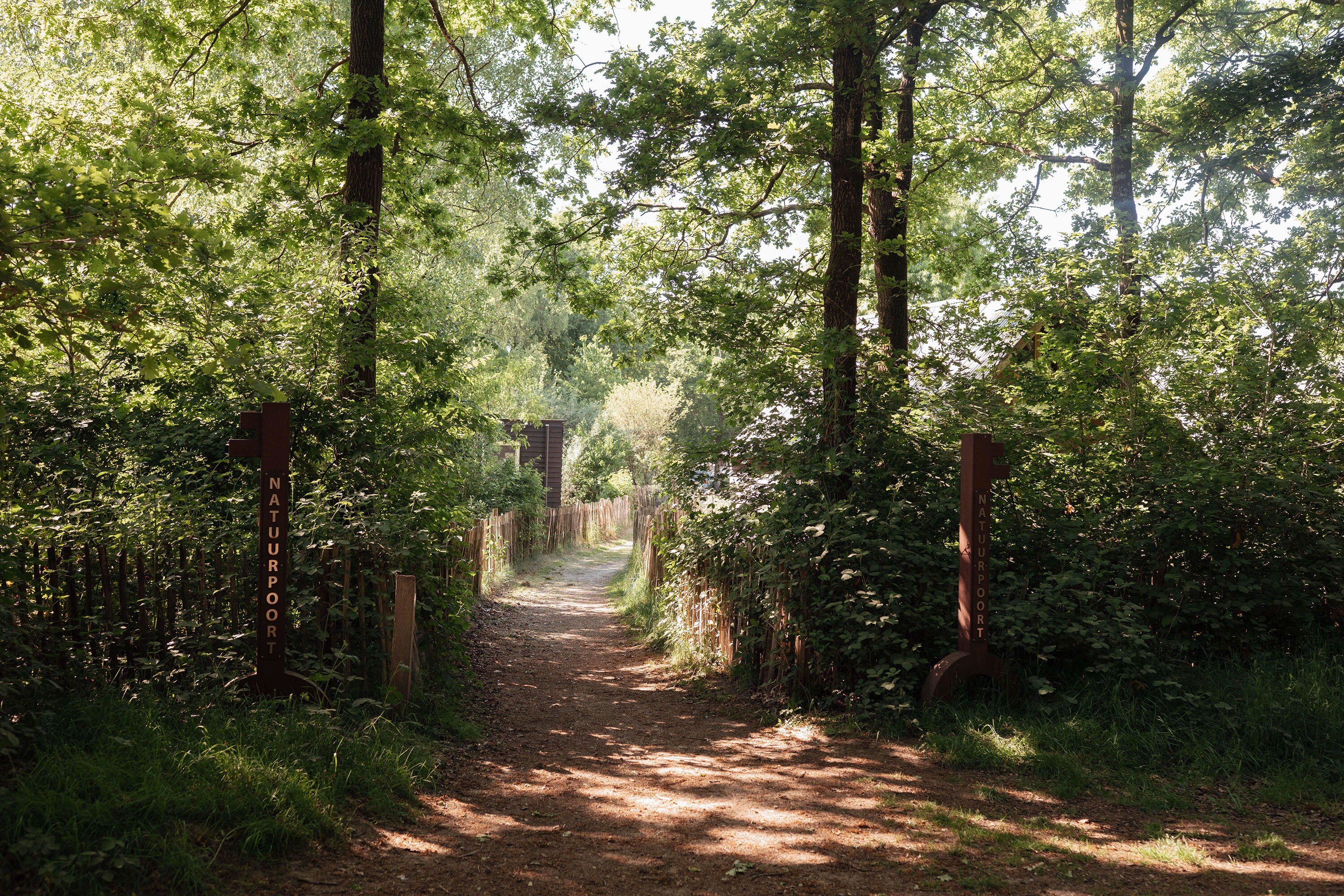 De Negende Zaeligheyt