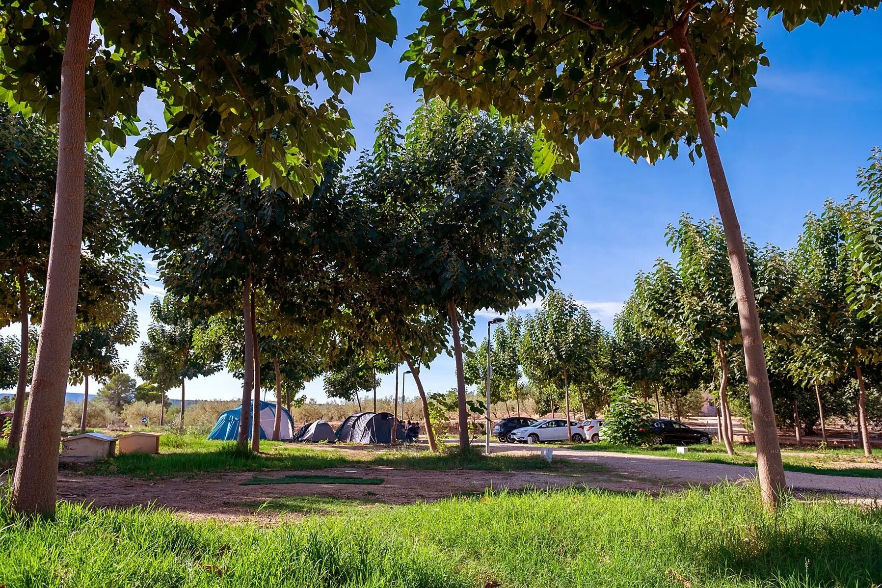 Camping Playamonte