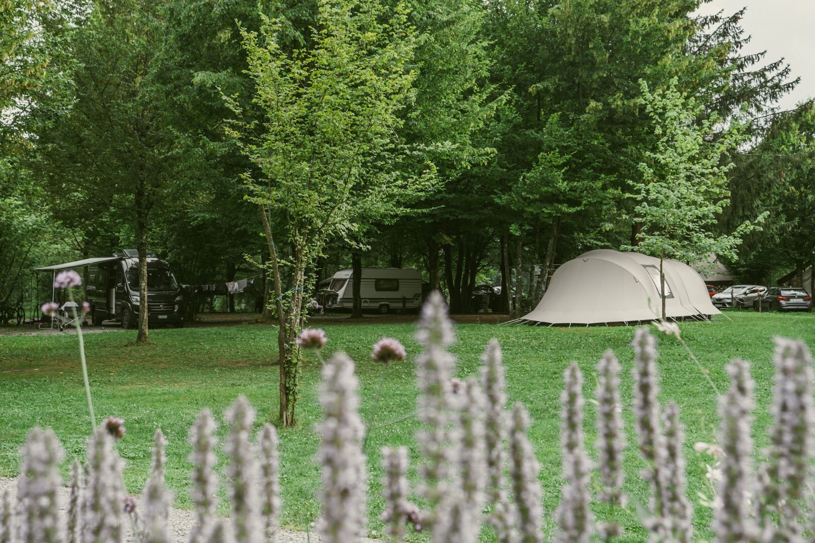 Camping Lovsin Estate