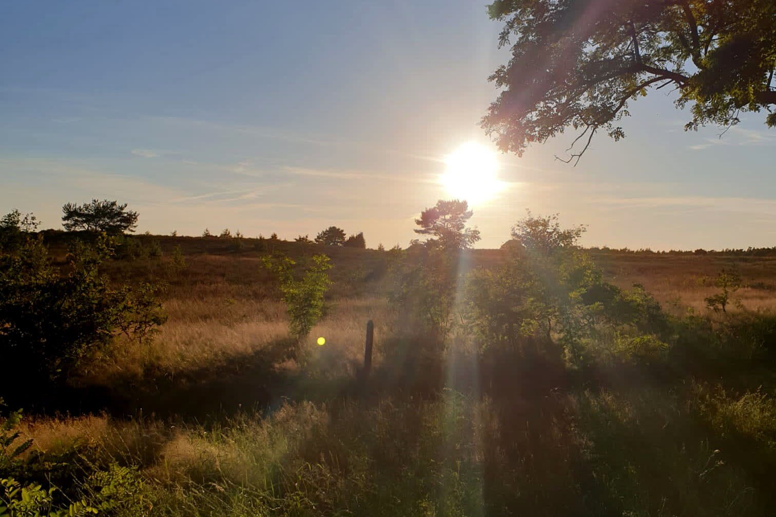 Heidepark Veluwschkarakter