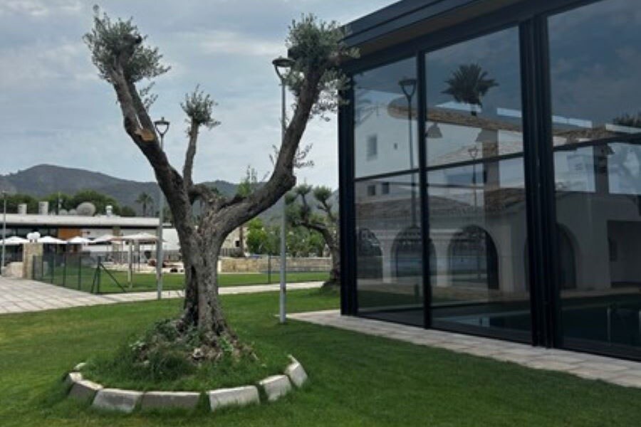 Camping La Media Legua