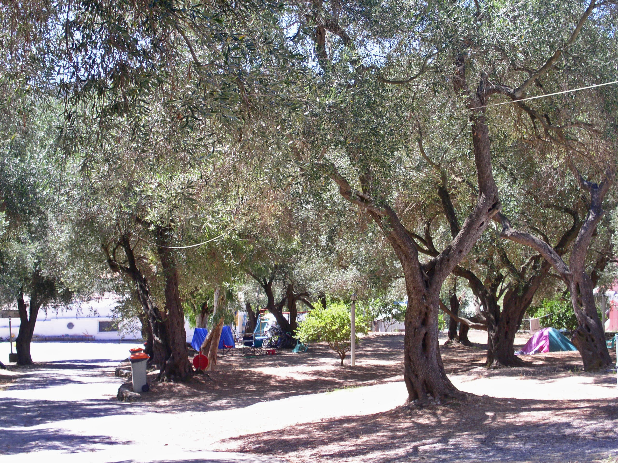 Camping Paleokastritsa