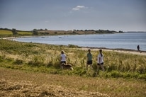 Feriepark Langeland -Emmerbølle Strand – billede 5