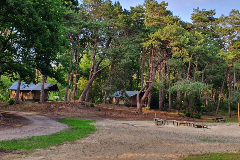Camping Het Horstmannsbos afbeelding 2