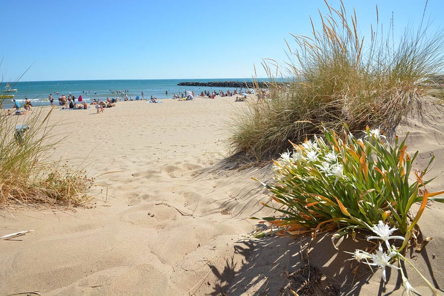 Camping Helios afbeelding 2