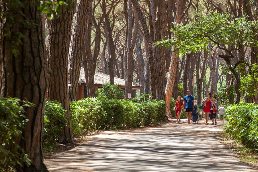 Gitavillage Le Marze afbeelding 2